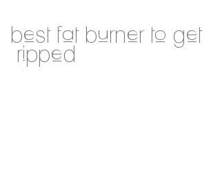 best fat burner to get ripped