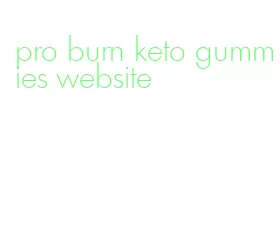 pro burn keto gummies website