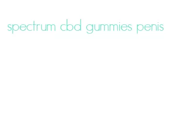 spectrum cbd gummies penis