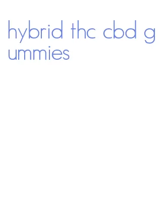 hybrid thc cbd gummies