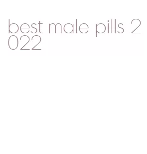 best male pills 2022