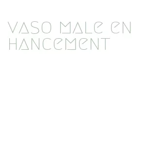 vaso male enhancement