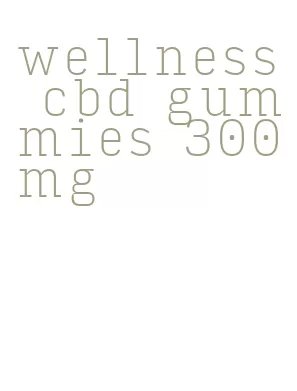 wellness cbd gummies 300mg