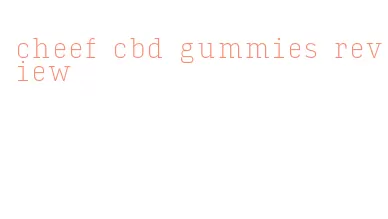 cheef cbd gummies review