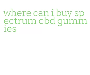 where can i buy spectrum cbd gummies