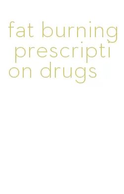 fat burning prescription drugs