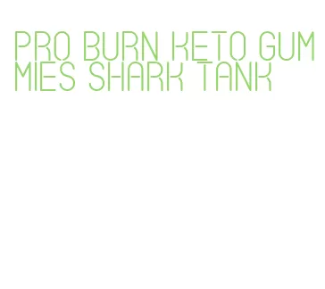 pro burn keto gummies shark tank