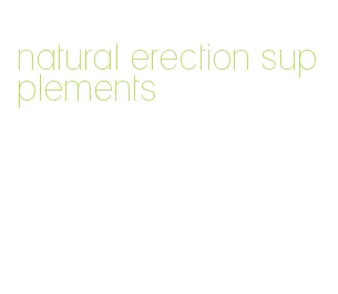 natural erection supplements