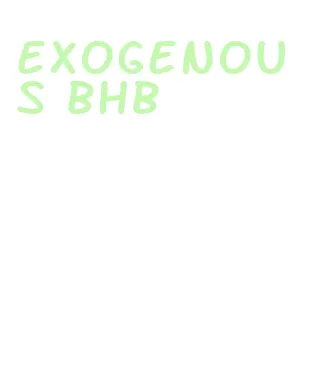 exogenous bhb