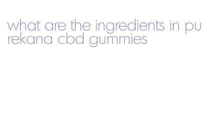 what are the ingredients in purekana cbd gummies