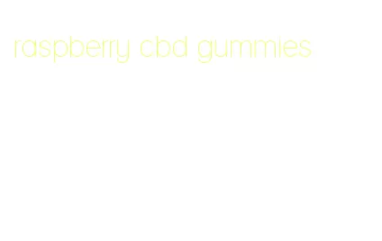 raspberry cbd gummies