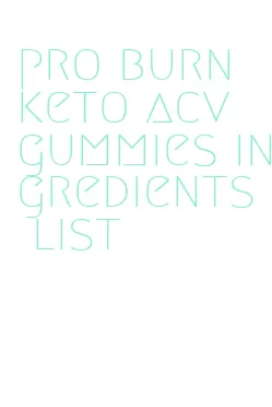 pro burn keto acv gummies ingredients list