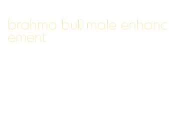 brahma bull male enhancement