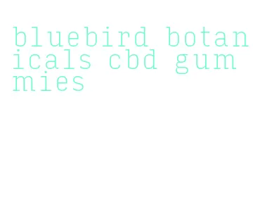 bluebird botanicals cbd gummies