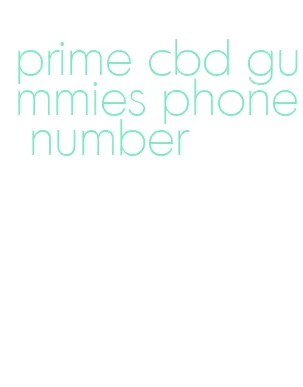 prime cbd gummies phone number