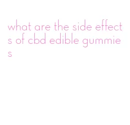 what are the side effects of cbd edible gummies