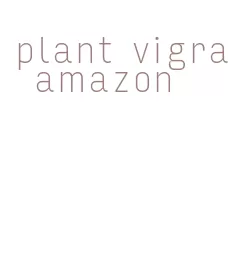 plant vigra amazon