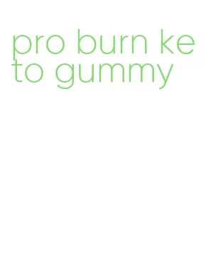 pro burn keto gummy