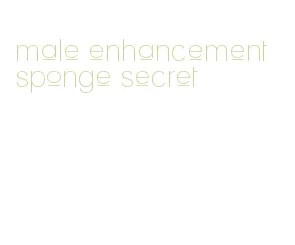 male enhancement sponge secret