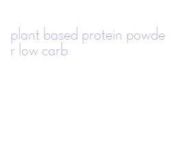 plant based protein powder low carb