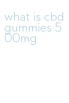 what is cbd gummies 500mg