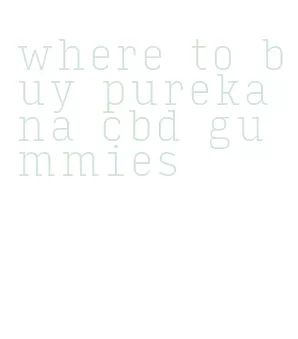 where to buy purekana cbd gummies