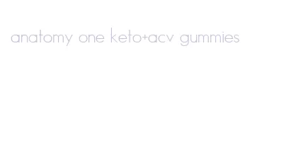 anatomy one keto+acv gummies