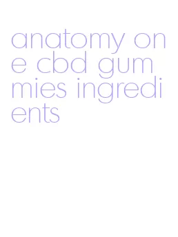 anatomy one cbd gummies ingredients