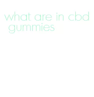 what are in cbd gummies