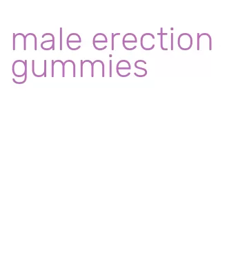 male erection gummies