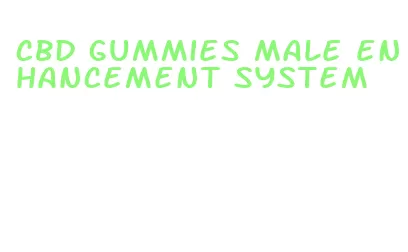 cbd gummies male enhancement system