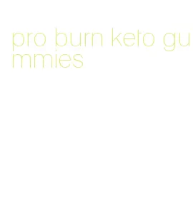 pro burn keto gummies