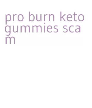 pro burn keto gummies scam