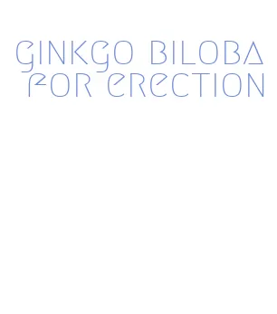 ginkgo biloba for erection