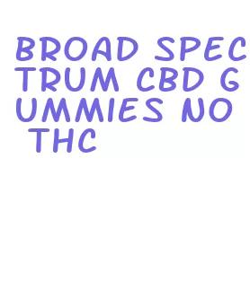 broad spectrum cbd gummies no thc