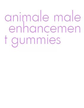 animale male enhancement gummies