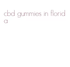 cbd gummies in florida