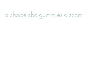 is choice cbd gummies a scam