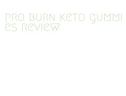 pro burn keto gummies review