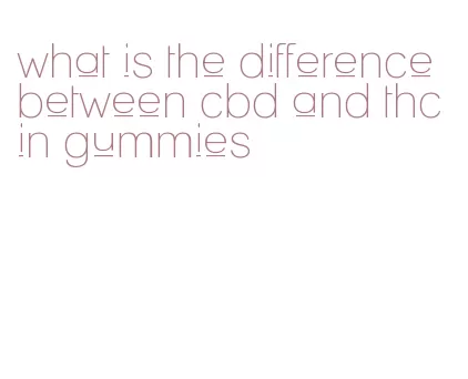 what is the difference between cbd and thc in gummies