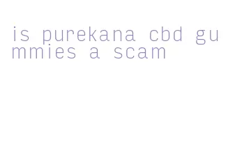 is purekana cbd gummies a scam