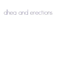 dhea and erections