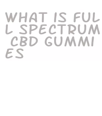 what is full spectrum cbd gummies