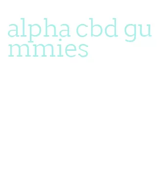 alpha cbd gummies