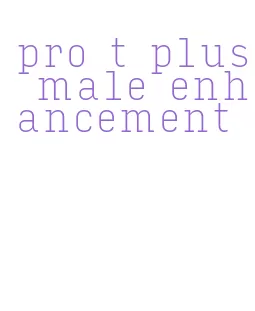 pro t plus male enhancement