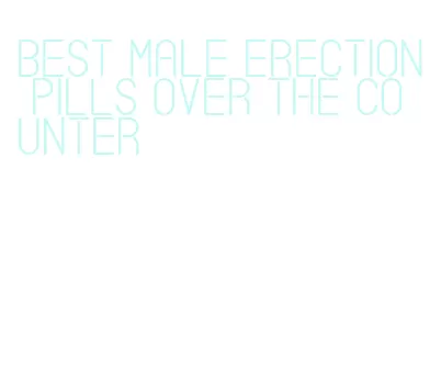 best male erection pills over the counter