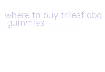 where to buy trileaf cbd gummies