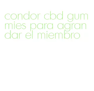 condor cbd gummies para agrandar el miembro