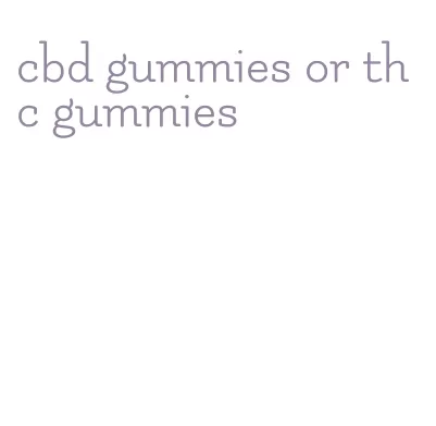 cbd gummies or thc gummies