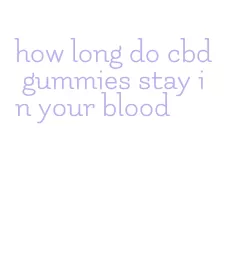 how long do cbd gummies stay in your blood